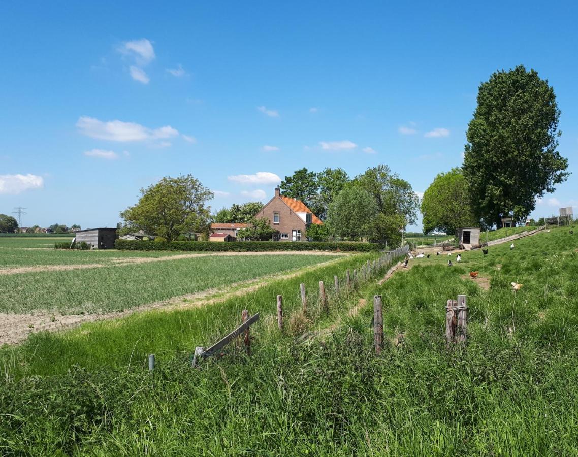 “In Oans Oefje” Parel In De Polder! Apartment Lewedorp Exterior photo