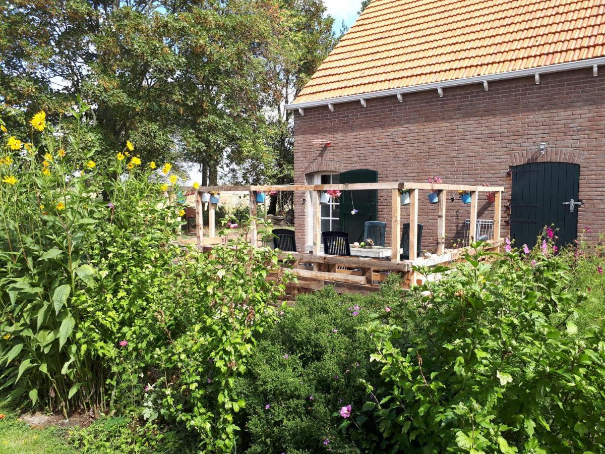 “In Oans Oefje” Parel In De Polder! Apartment Lewedorp Exterior photo