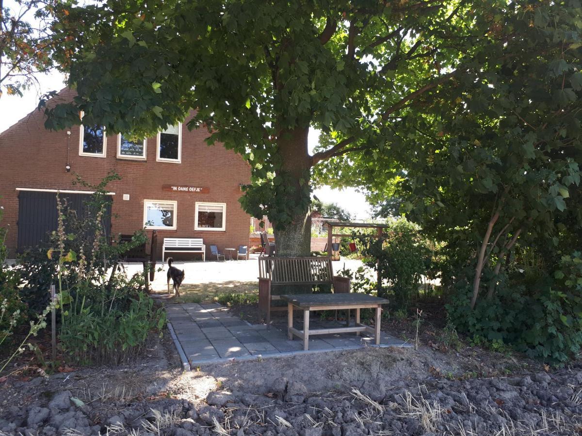 “In Oans Oefje” Parel In De Polder! Apartment Lewedorp Exterior photo